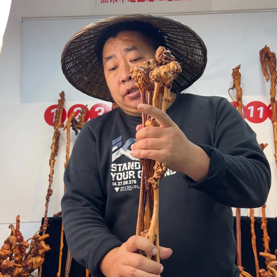 黑果木其他黑果木593