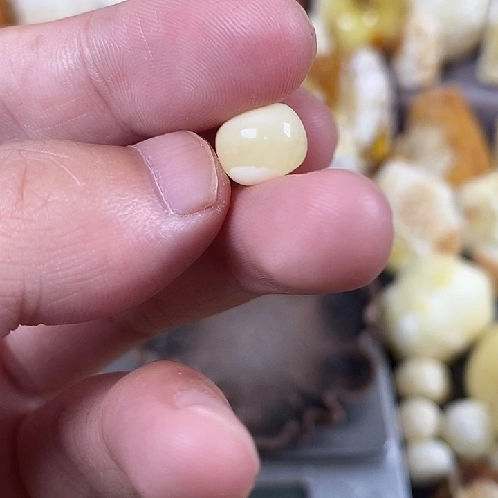 未镶嵌琥珀裸石我