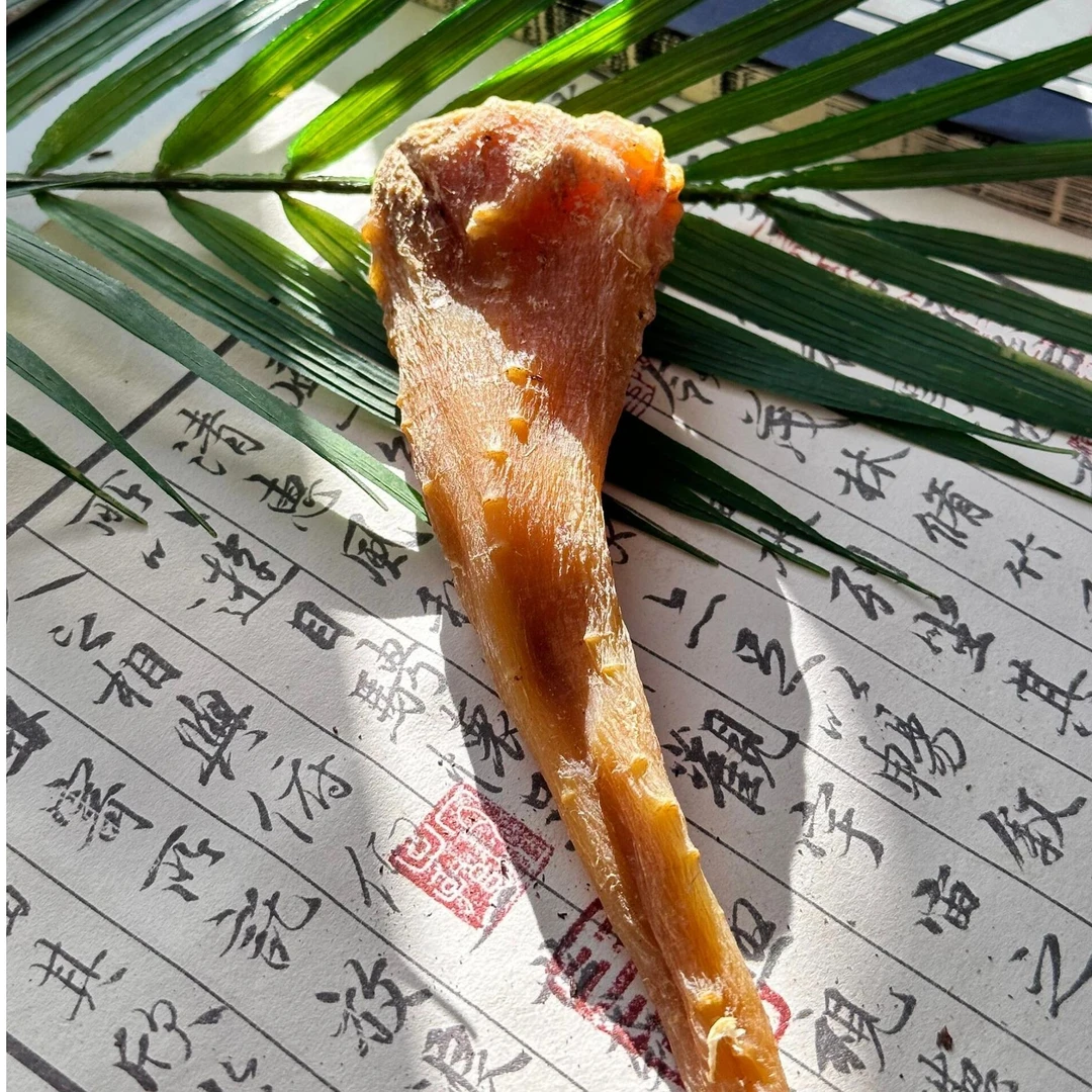 精选《藏血参》500克 龙少专属（薏米）