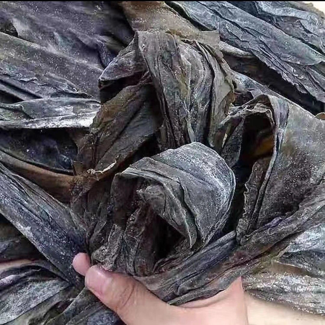 日照干海带厚实营养丰富日晒干货泡发鲜嫩煲汤凉拌