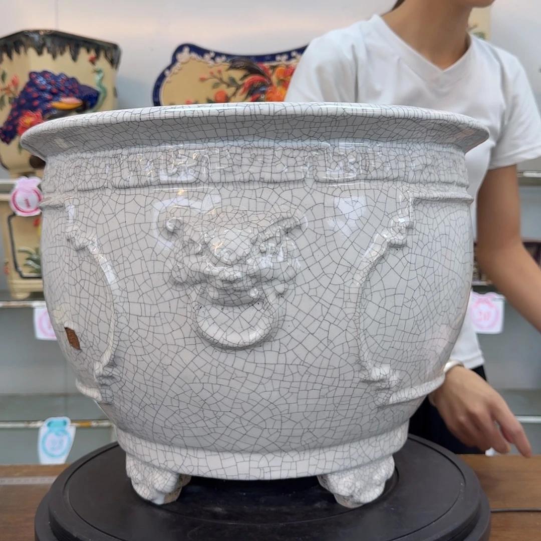 ***醉这个世界的一切美好与你都