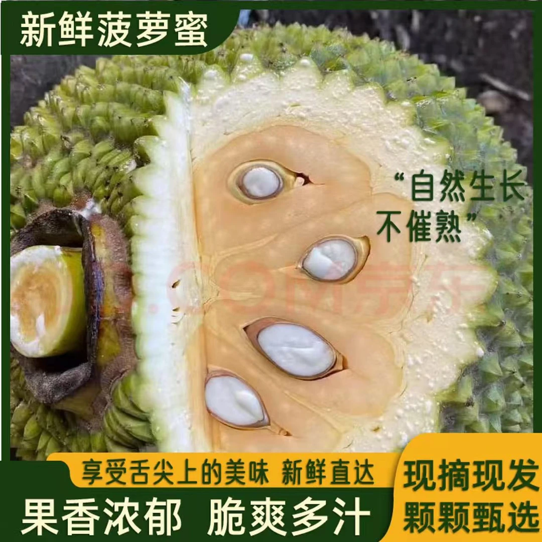 越南进口树熟发货干苞脆甜菠萝蜜【黄色果肉】顺丰包邮