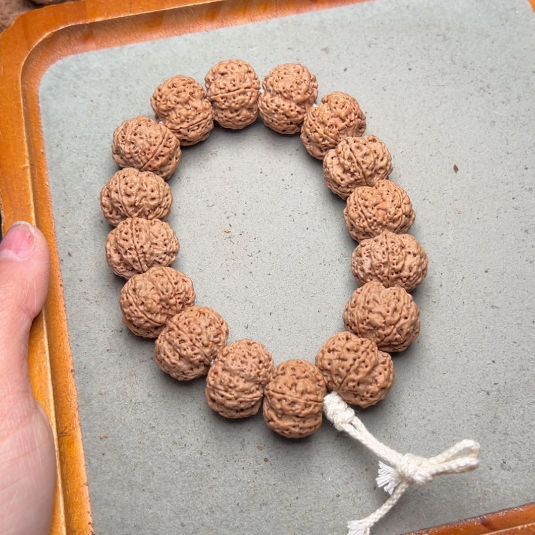 菩提16号金刚菩提梅花21货头