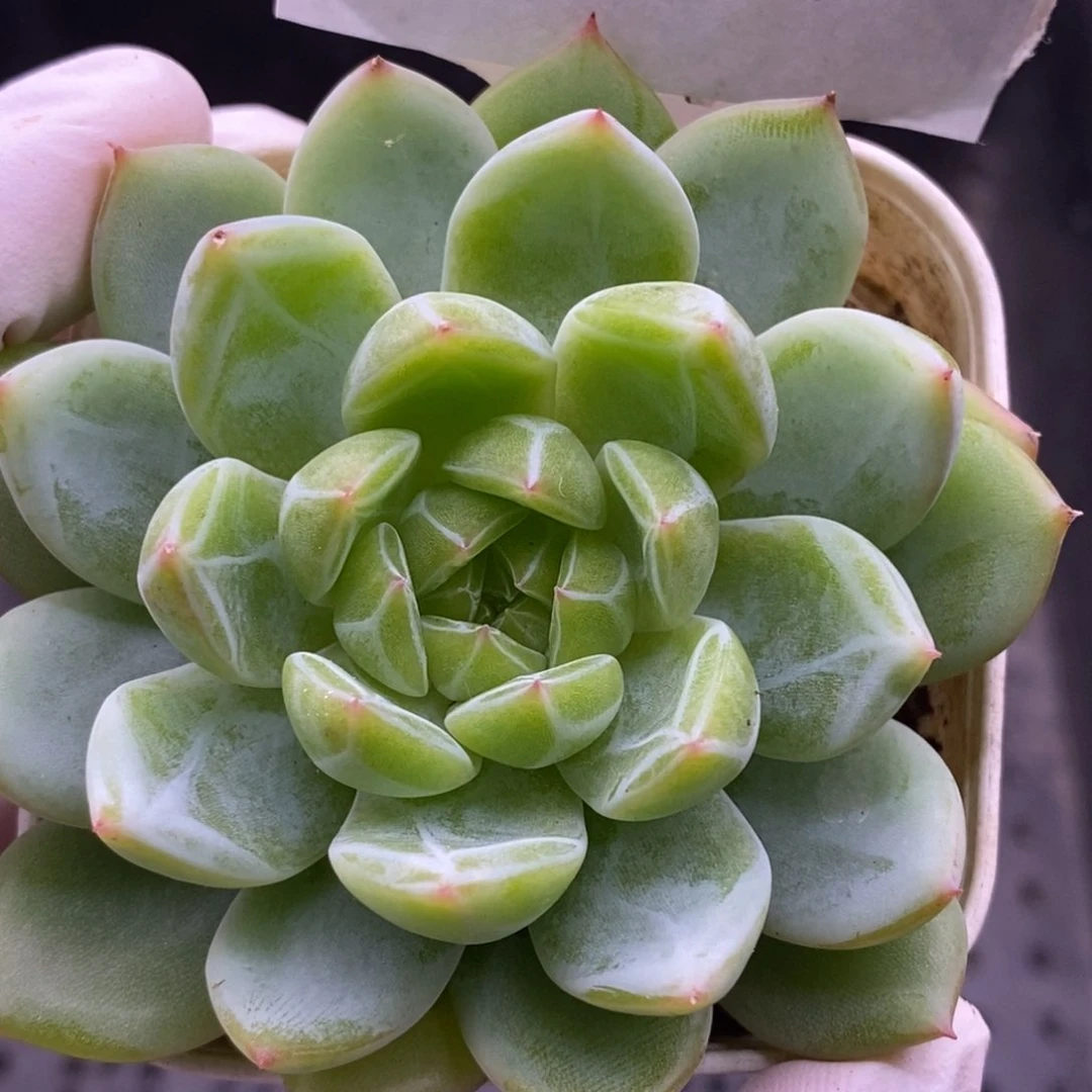 【闪购商品】22-97