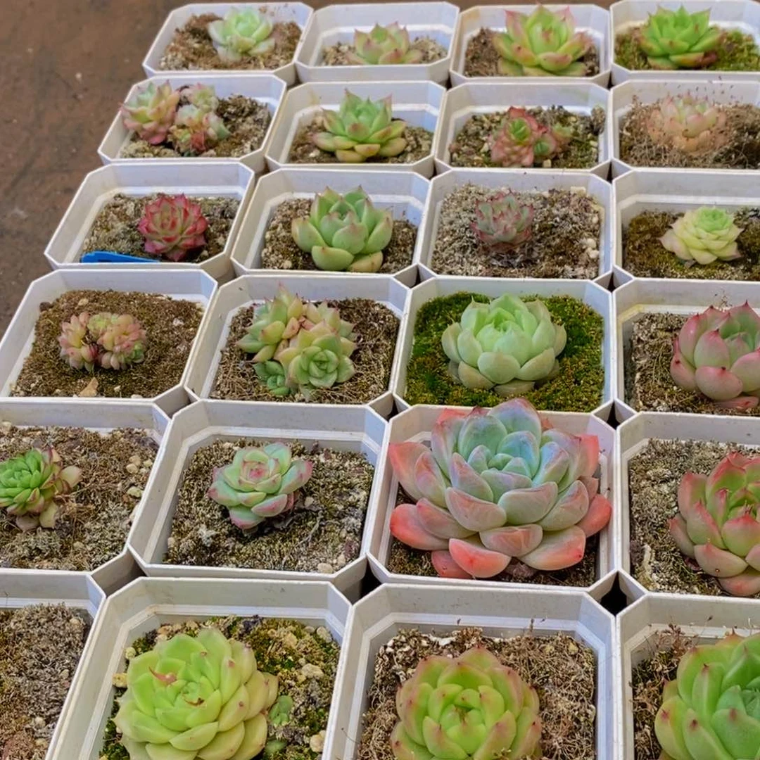 894drqqqq is the day I get