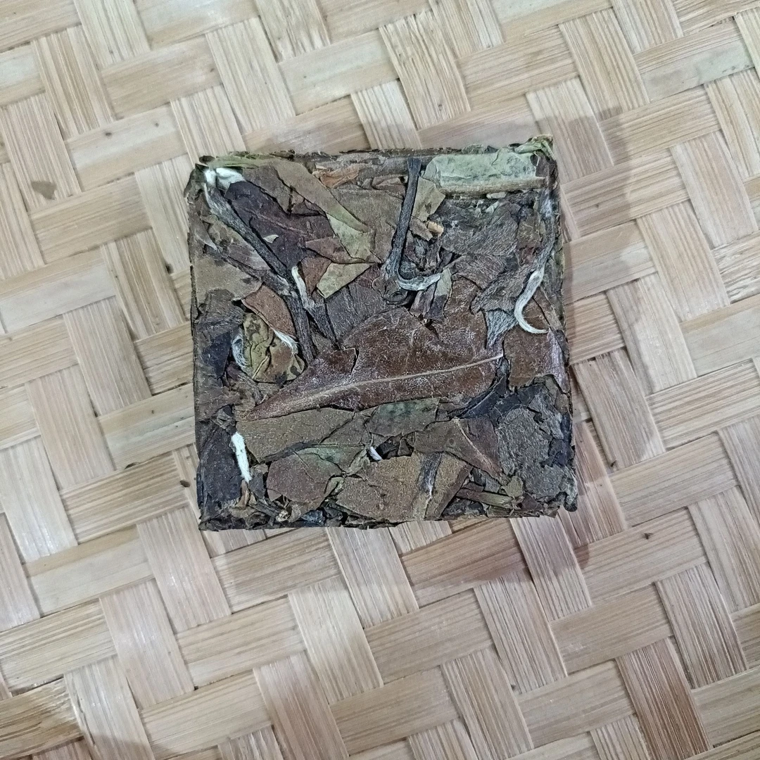 【野茶白茶】2024年春白茶2月7日【49号】