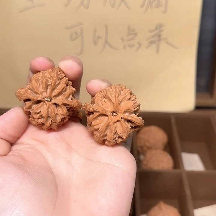 苹果园0001哈哈哈哈哈哈