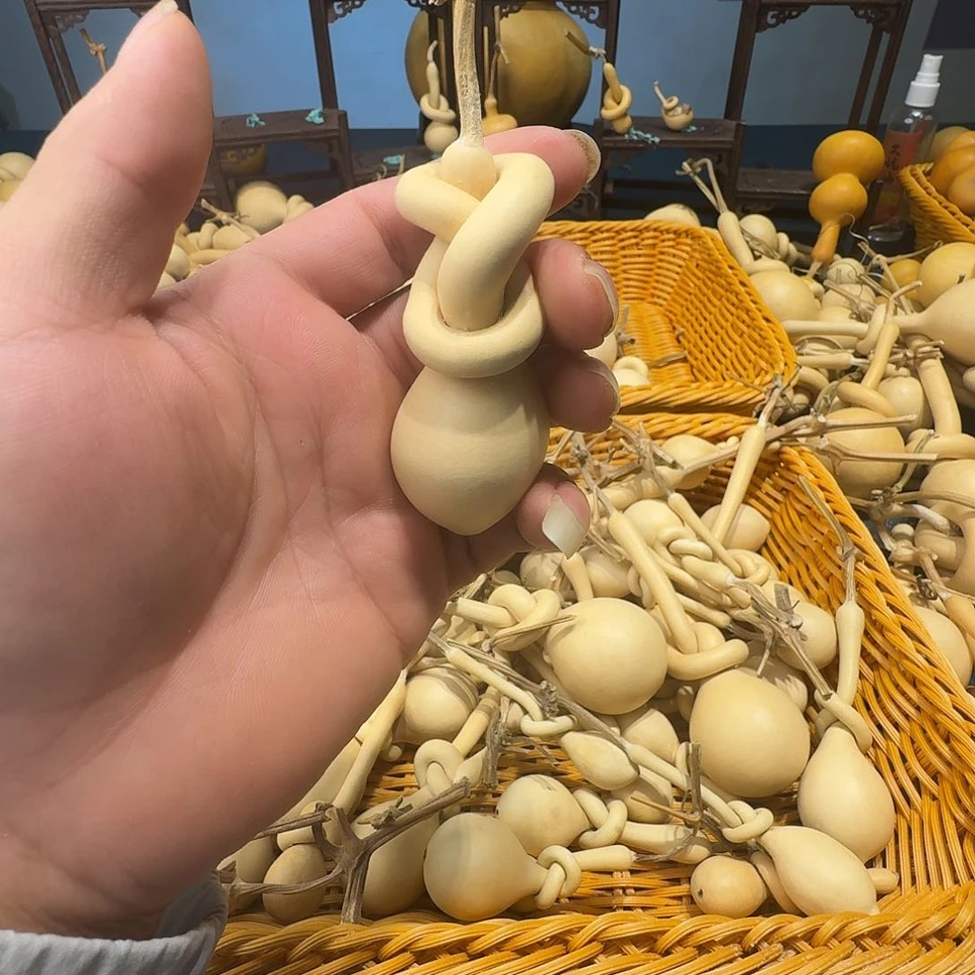 邯***仔哈哈哈哈哈哈哈哈哈