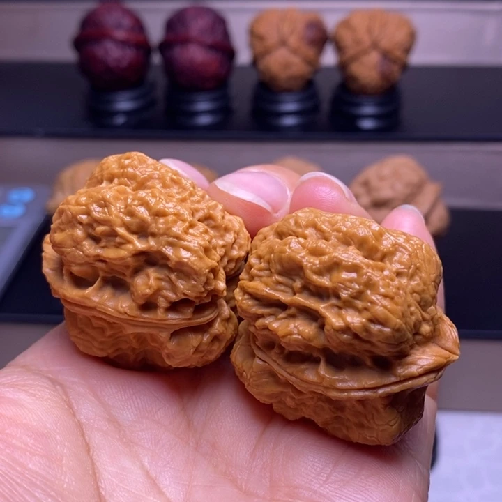 文玩核桃把件霸王龙脊15