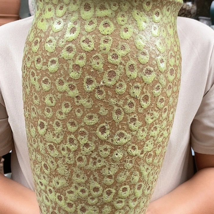 紫砂花盆口19高33福利