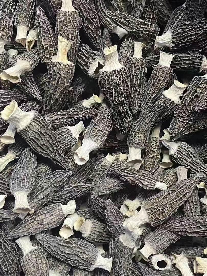 云南羊肚菌，6-8，煲汤食材肉厚饱满营养丰富