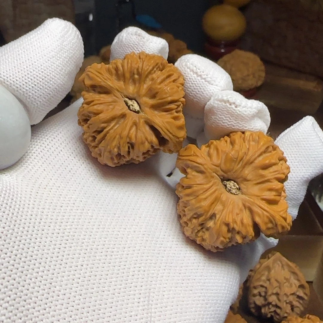 文玩核桃把件小凹底（南疆）