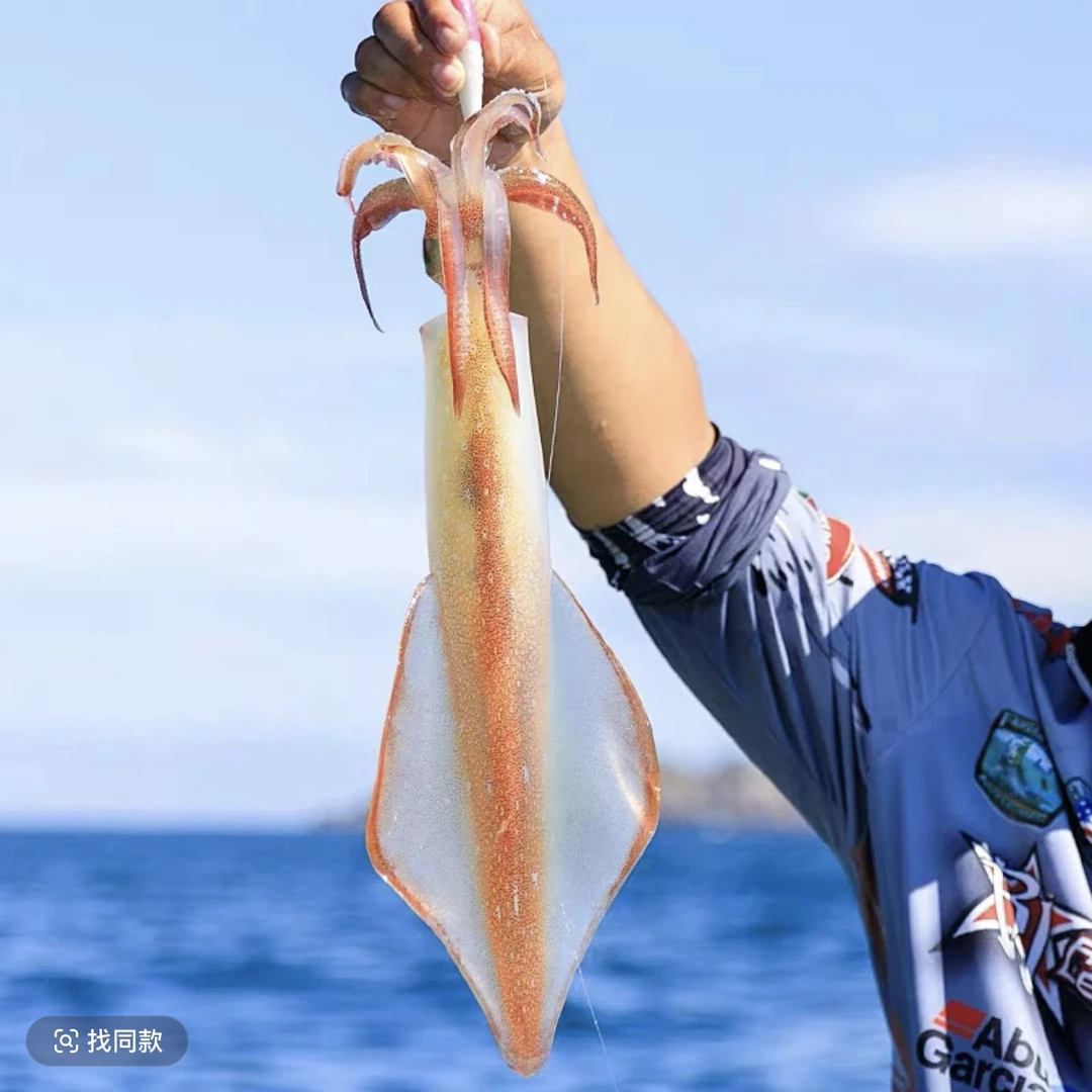 【全直哥海鲜】汕尾甲子本港 火箭鱿 手钓大鱿鱼 包脆包甜包