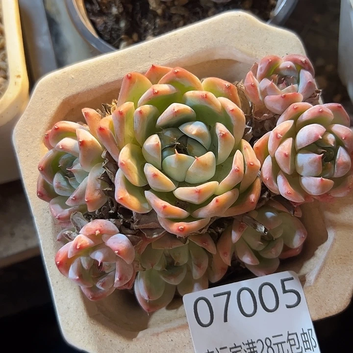 幸运的是我还没遇到过