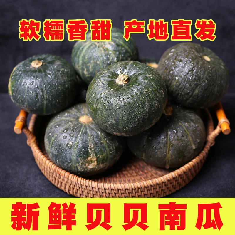 蠡人蠡品贝贝南瓜新鲜蔬菜贝贝南瓜老南瓜贝贝南瓜板栗南瓜