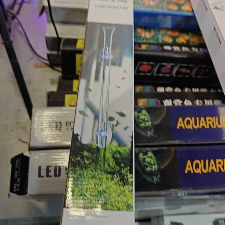 红海倒吊鱼40厘米胃食管