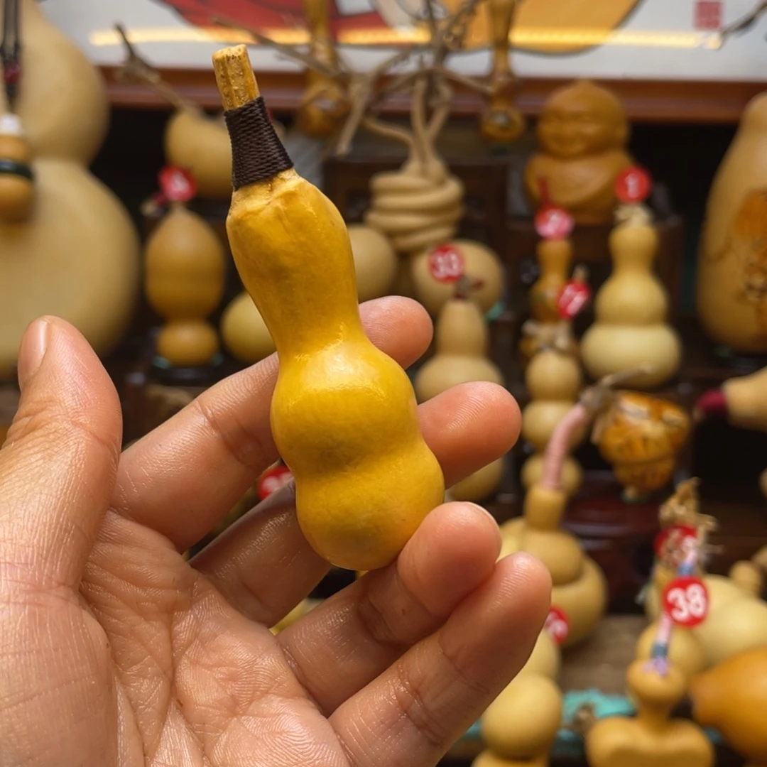 鱼****葫芦笙等乐器演奏和演奏等多种乐器演奏而