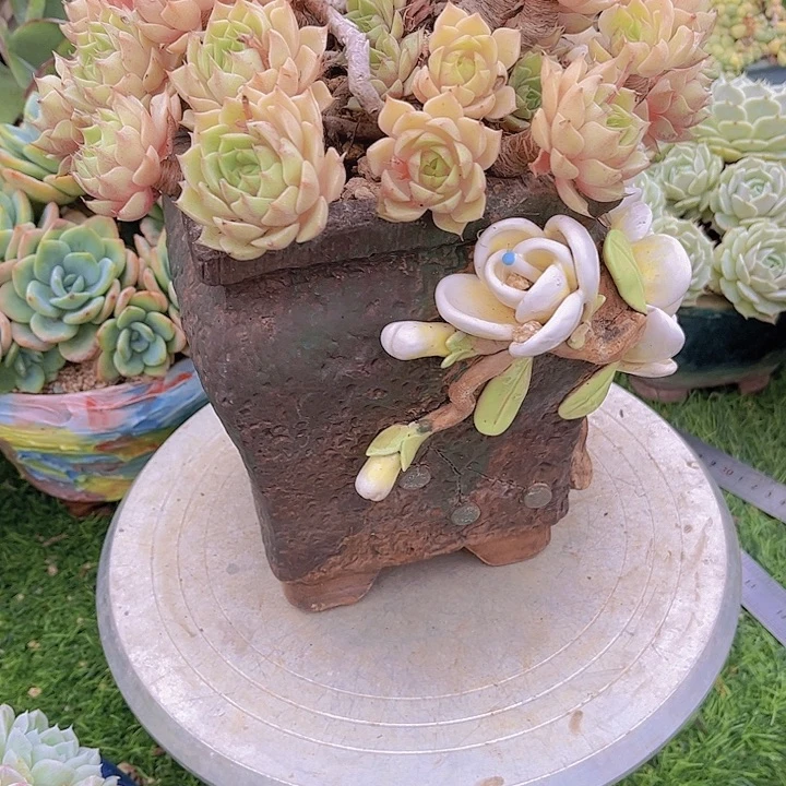 徐***楼包邮二个一起哈哈哈哈哈哈哈