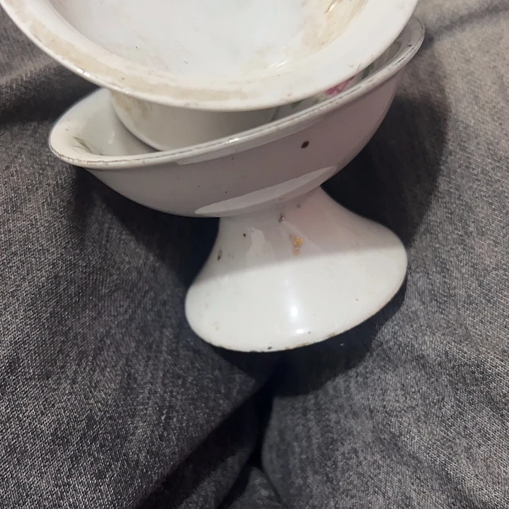 生***水杂色豆（科檀/科特迪瓦檀木）