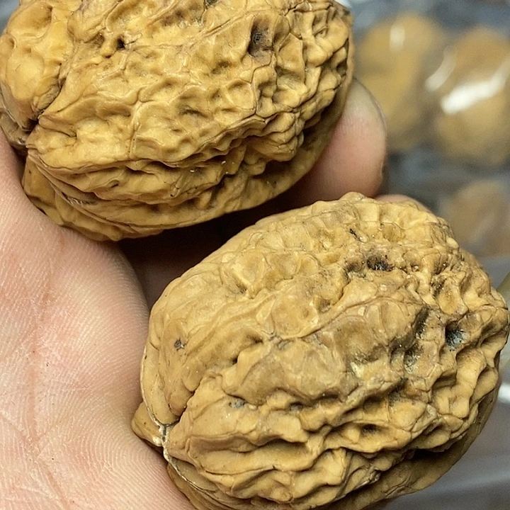 文玩核桃把件志成云铁文玩100