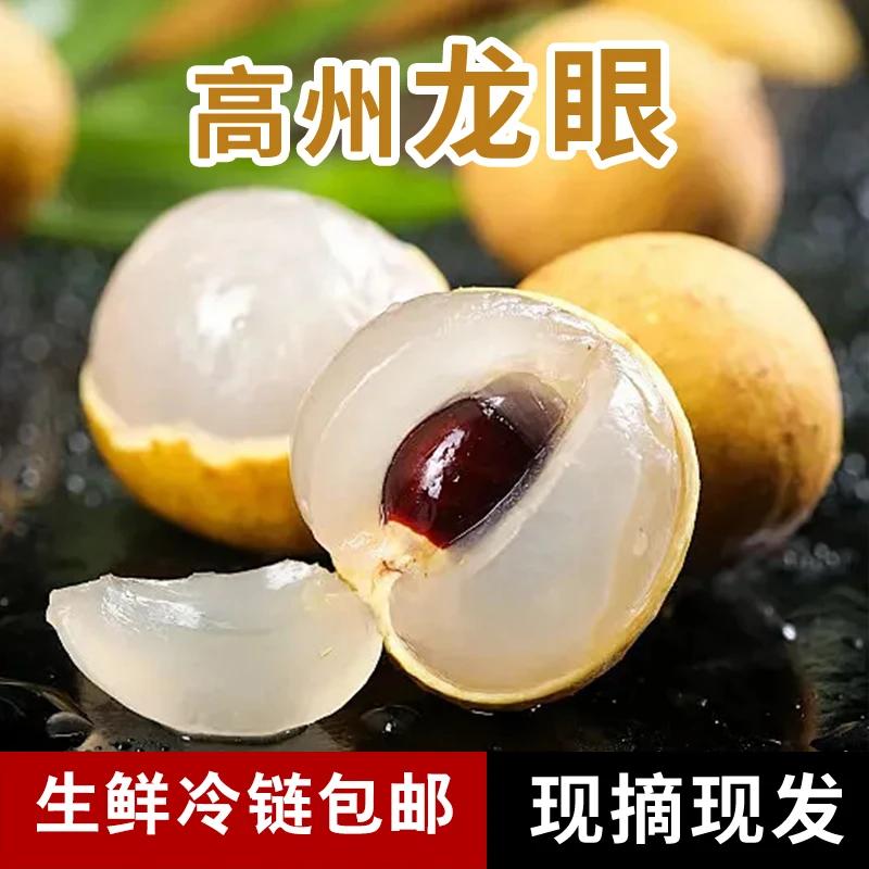 【包邮】广东高州龙眼桂圆新鲜现摘爽脆清甜当季水果（广东省专拍）