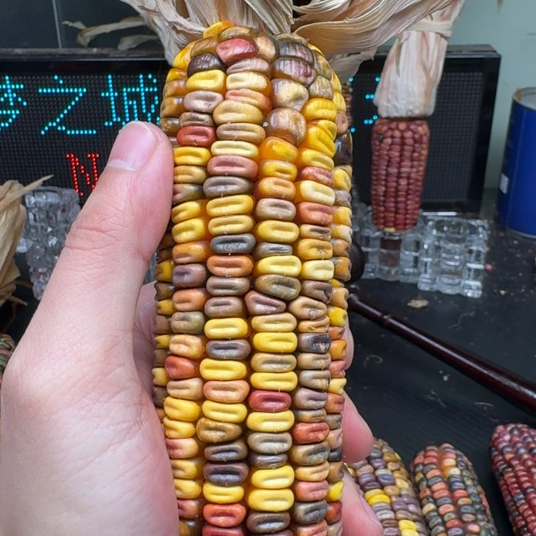 柏香籽/百香籽吊坠?****?