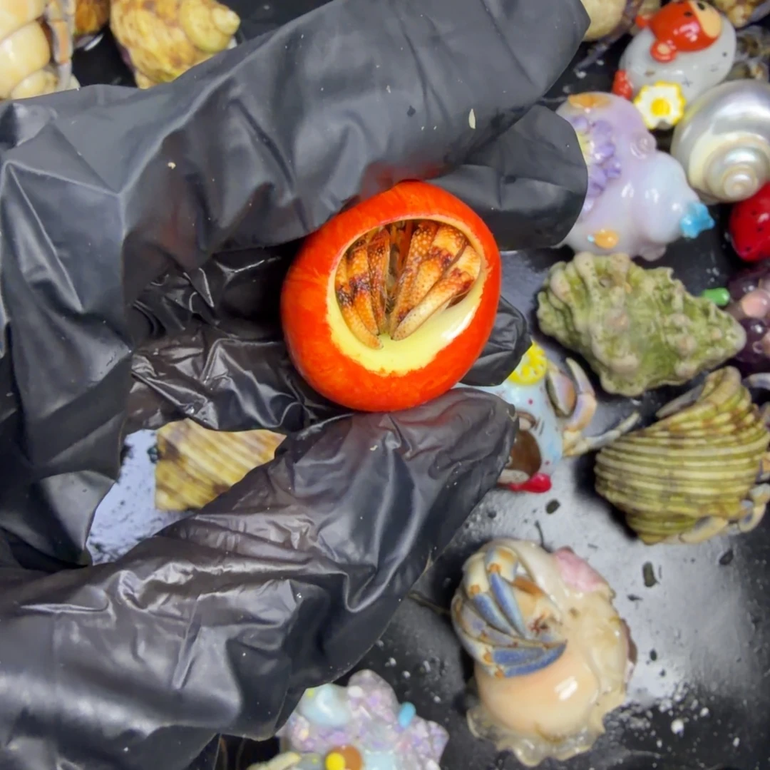 这两位老师真的都太有耐心啊笑哈哦