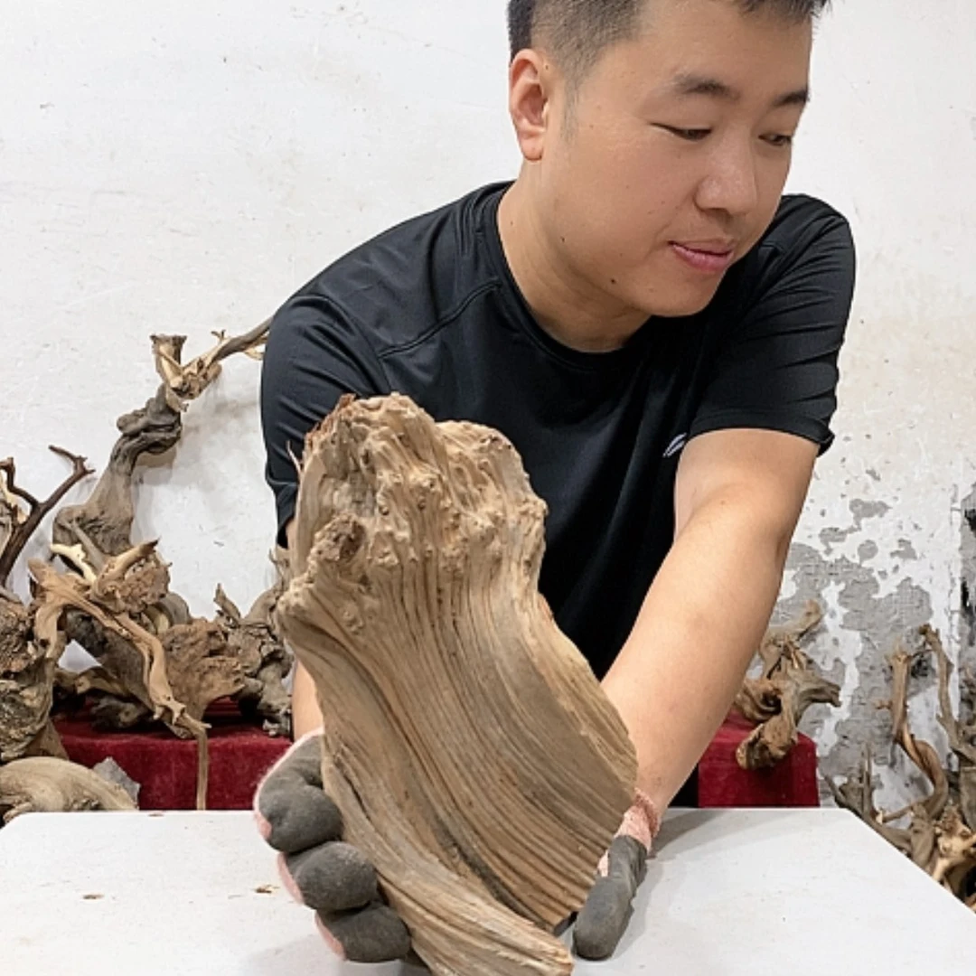 【闪购商品】柏木艺****销我们都是好孩子