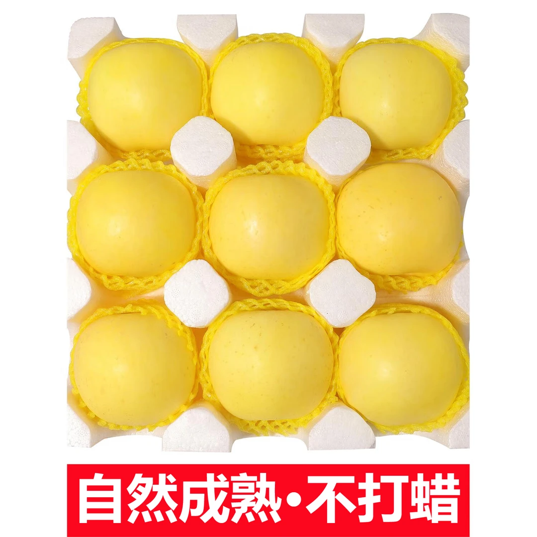【脆甜】新鲜黄金奶油苹果烟台奶油富士多汁黄金苹果冰糖心产地直采
