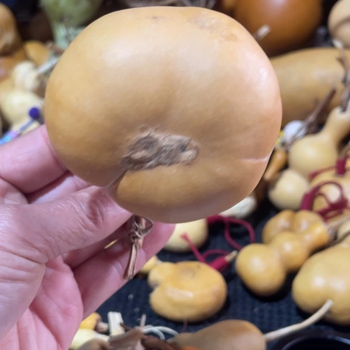 豆***川葫芦哈哈哈哈哈哈哈哈哈哈