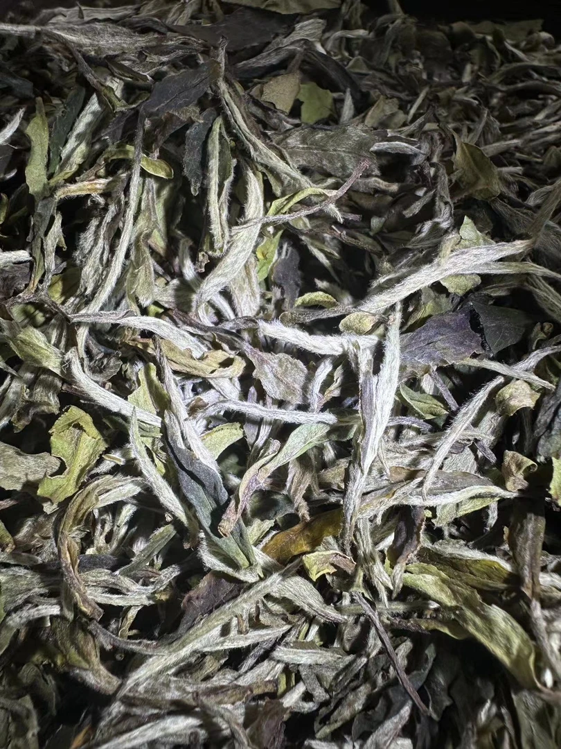 小吕【荒野】2019年福鼎白茶毫香密韵老牡丹500克/箱