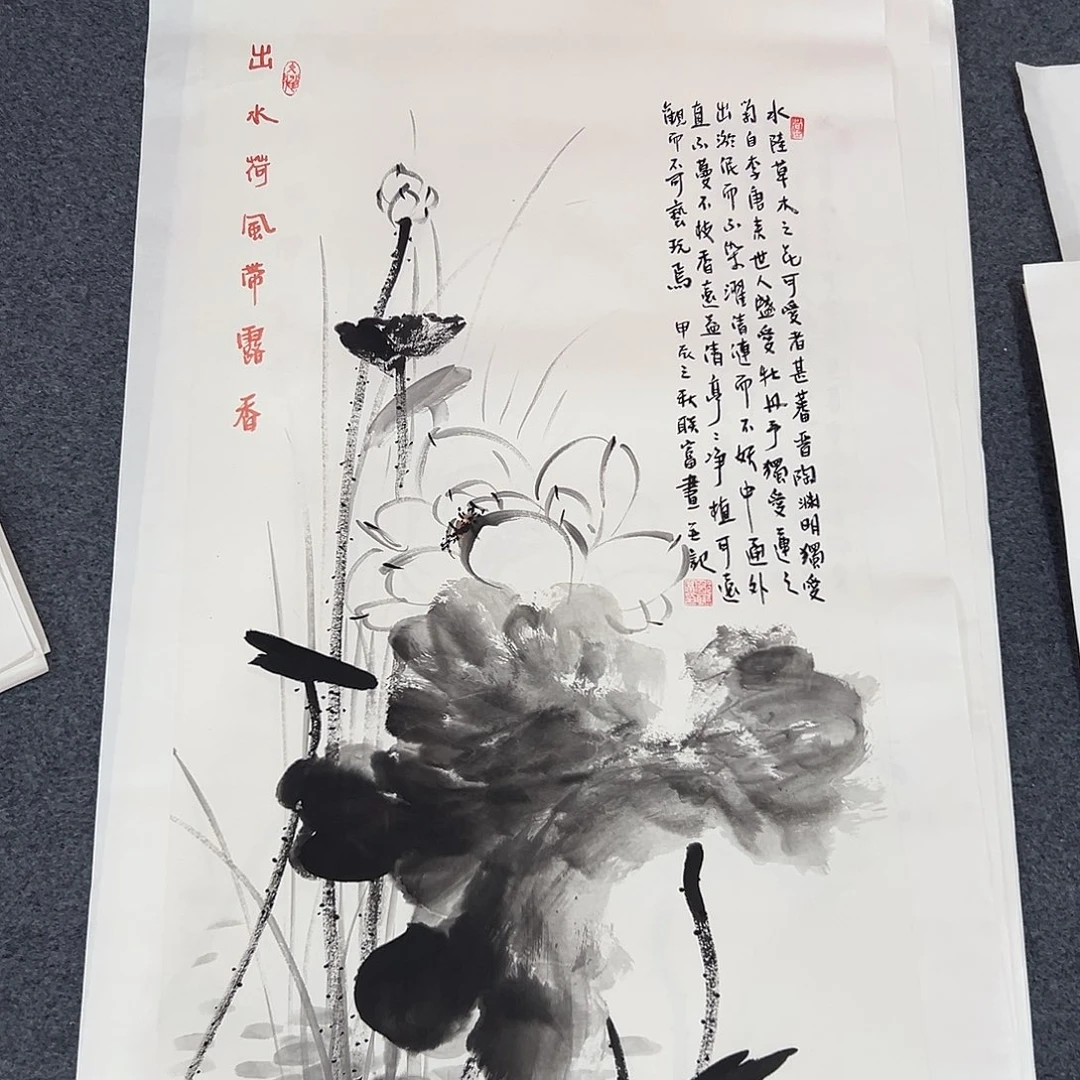 新号开播领福利了