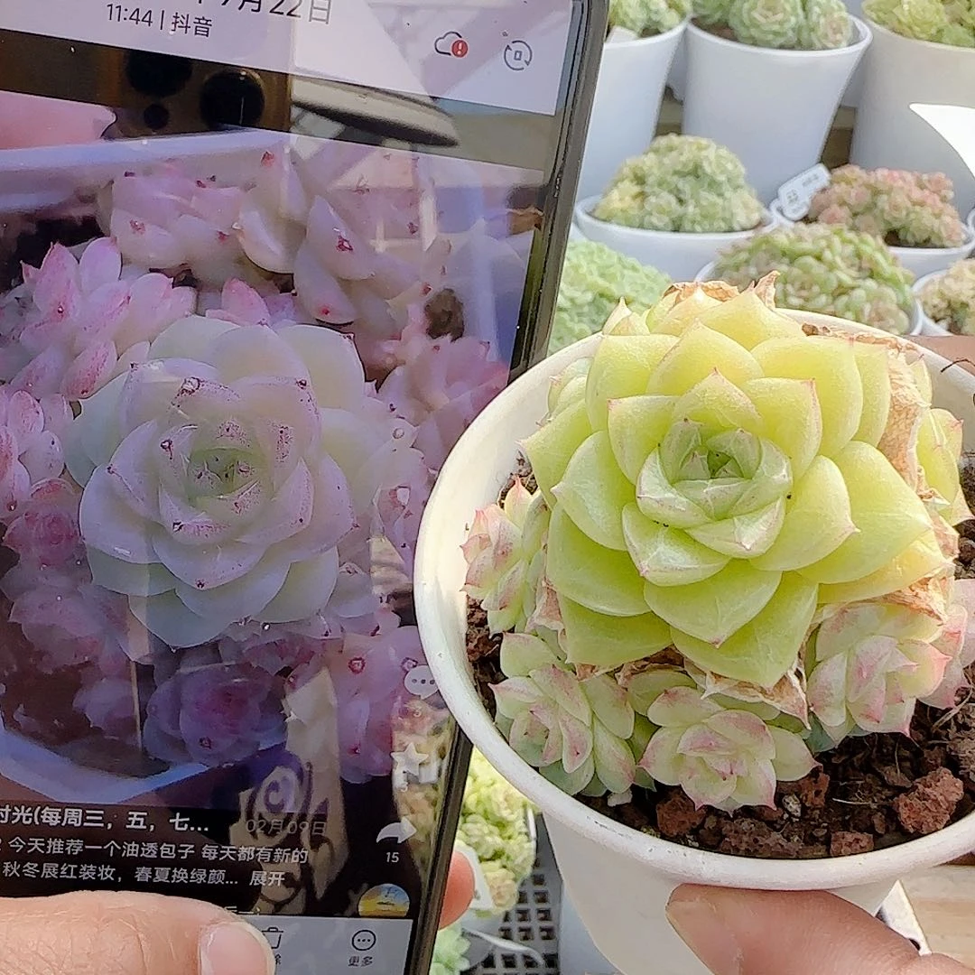 1107-62（ht-112）优选