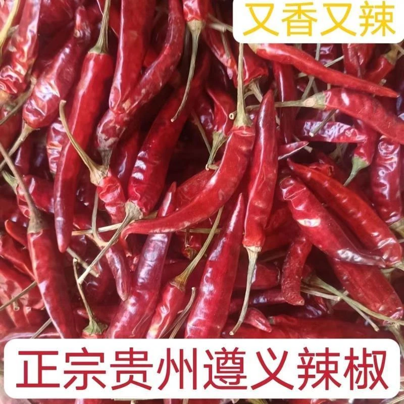 2025贵州遵义石柱红  中辣火锅炒菜干辣椒