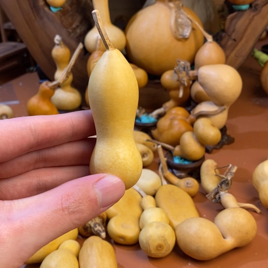 有***白教练教练咯教练经理