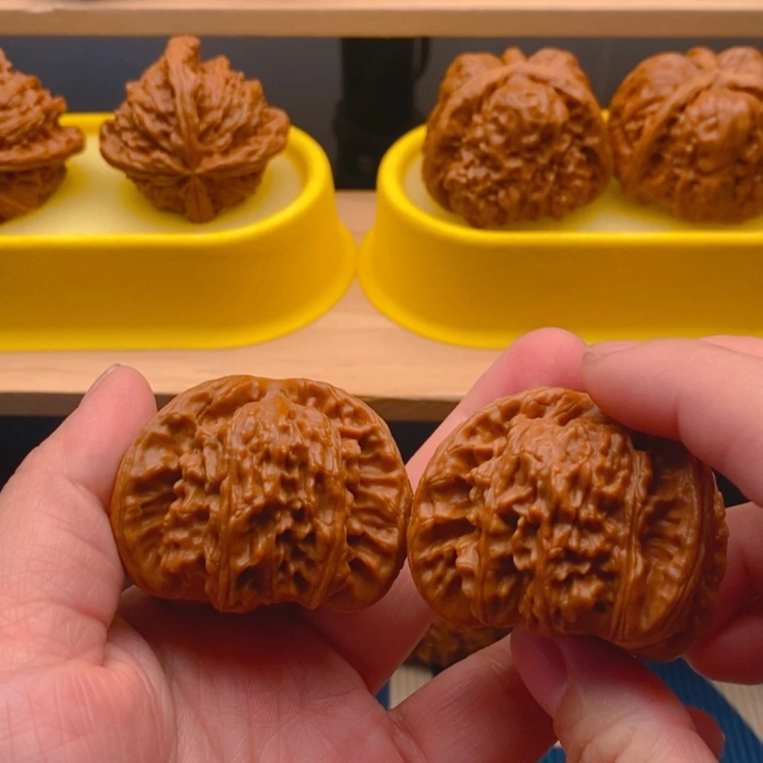 【闪购商品】D****G这个世界真的太美好了