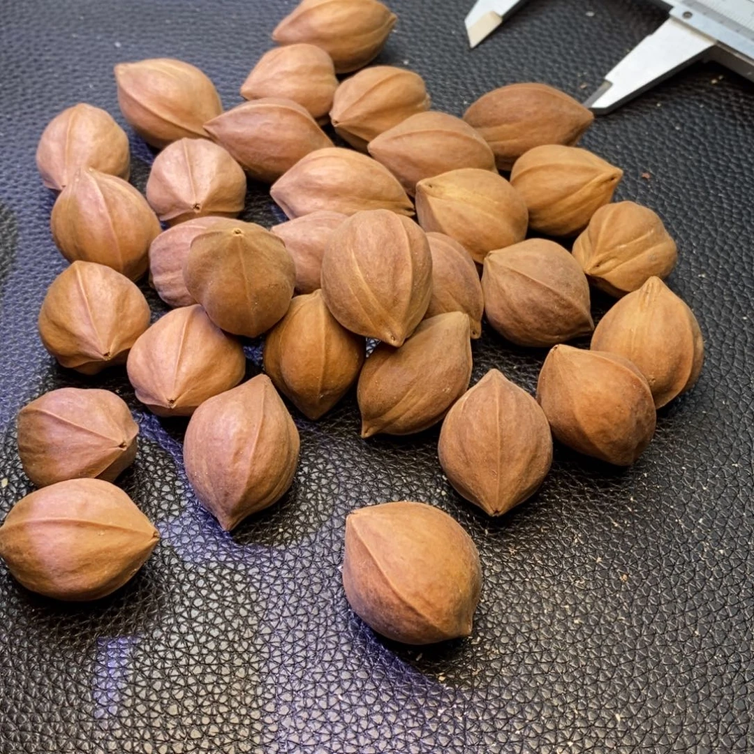 麋***鸦手串/手链橄榄核1