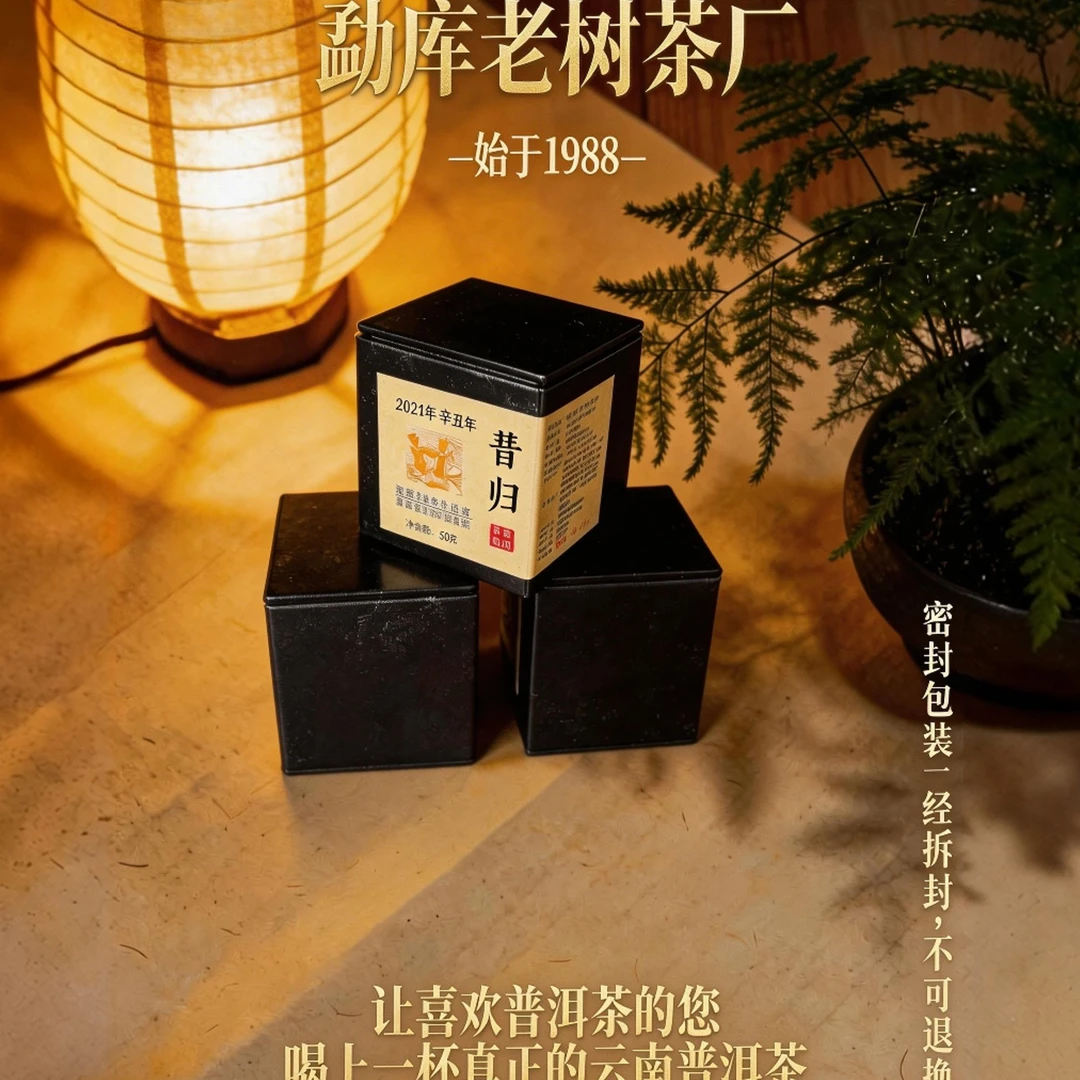 003A//2021年 昔归龙珠 3g*20颗