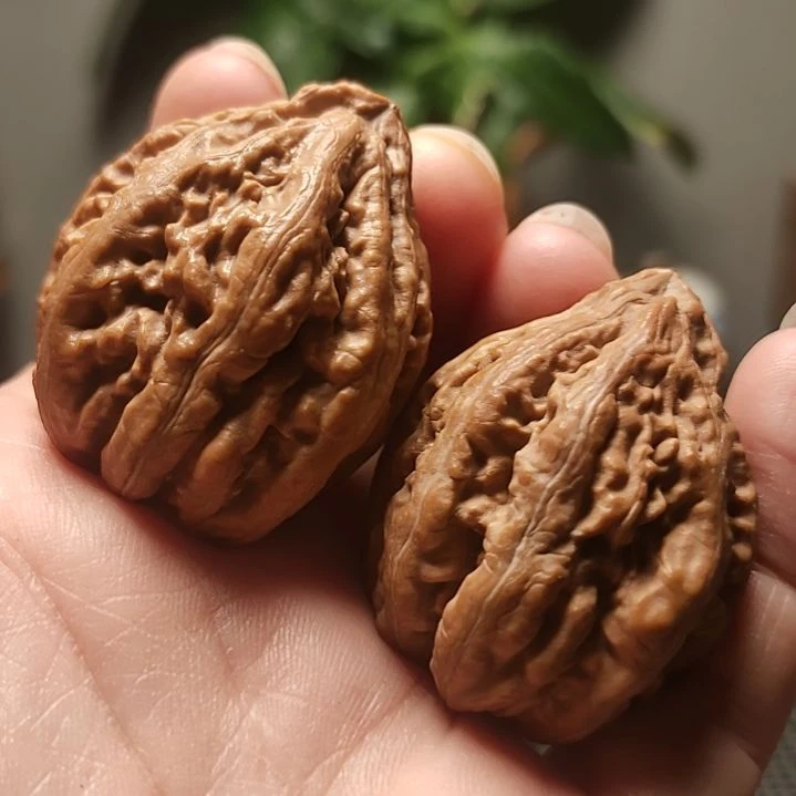 文玩核桃吊坠玉龙方尊2