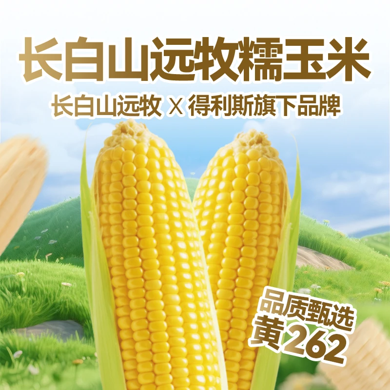【达人专属】长白山远牧262黄糯玉米10支装/箱2.5kg