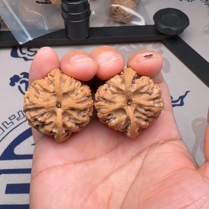 桃核吊坠山地苹果园38+10