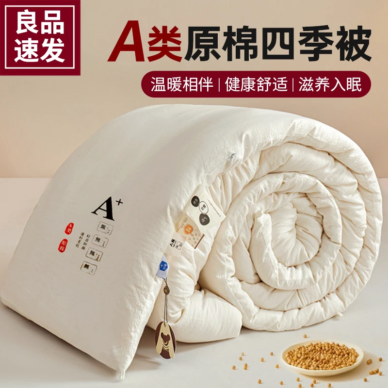 2025新款原棉大豆被纤维被被子被芯宿舍单人四季通用空调被冬被厚