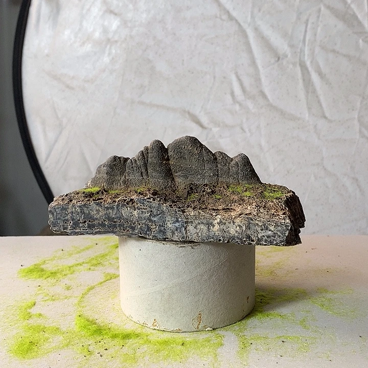 花盆摆件家居装饰