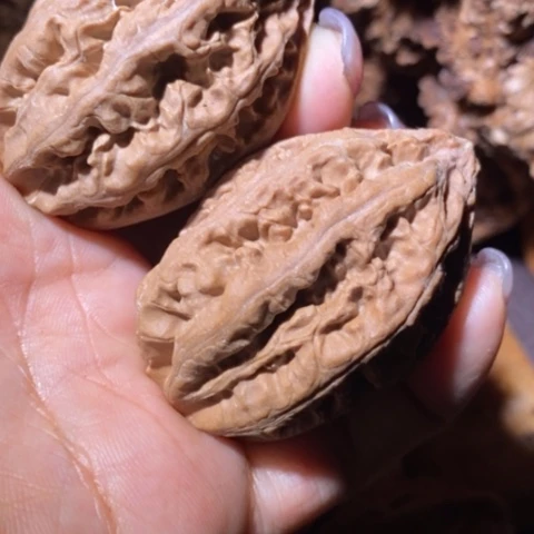 文玩核桃把件东北野生楸子小美110