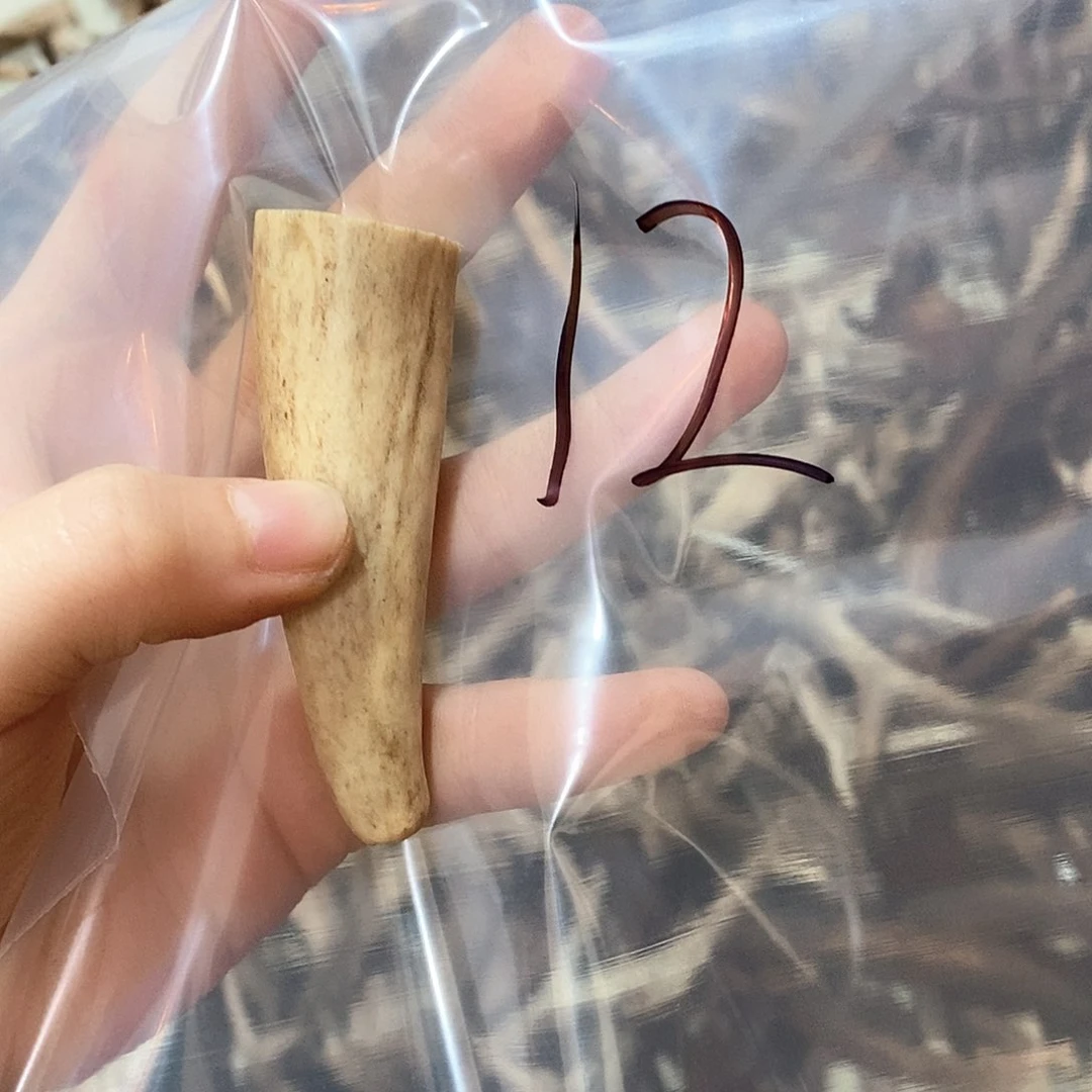 鹿角鹿角鹿角鹿面鹿