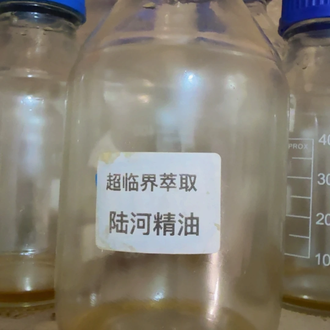 沉香沉香精油白棋陆河超临界10g
