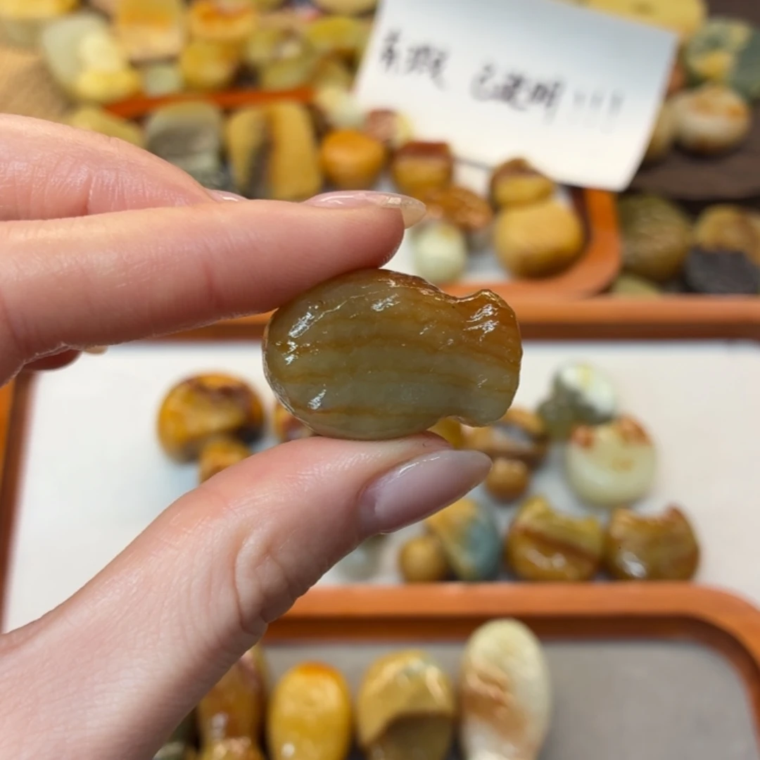 君***藏蛇纹石玉未镶嵌颈饰