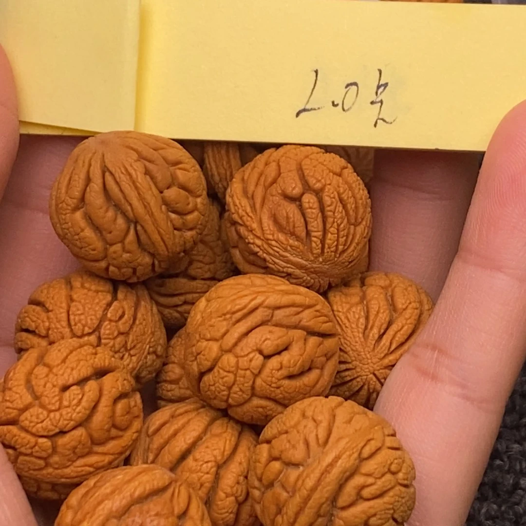 秦岭山脉龙纹桃核 13