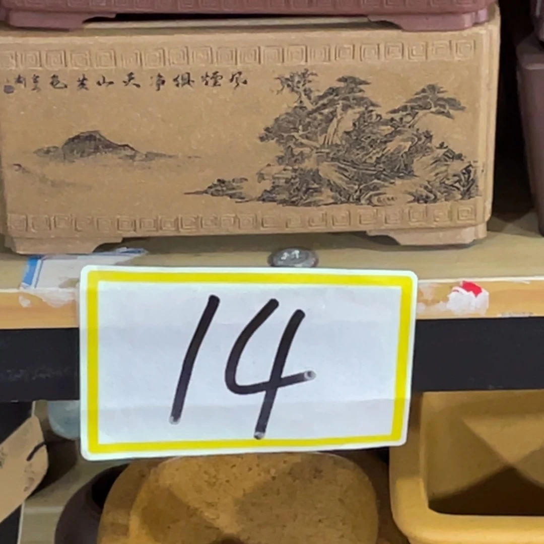紫砂花盆看来很喜欢
