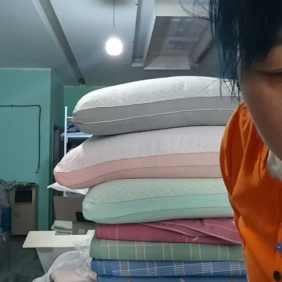 棉竹子纤维枕芯拍一发一对，颜色随机。